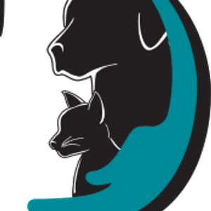 SALT Rescue Organization Logo
