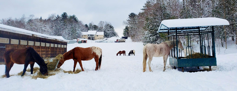 Blessings Farm