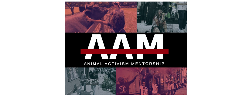 Animal Activism Mentorship