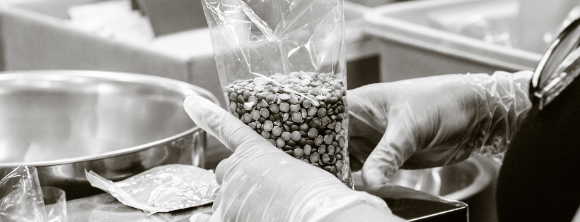 Women's Bean Project