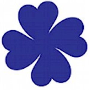 Northern Ireland Rare Disease Partnership