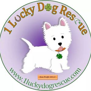 1 Lucky Dog Rescue, Inc. Logo