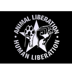 Against all oddz animal alliance inc Logo