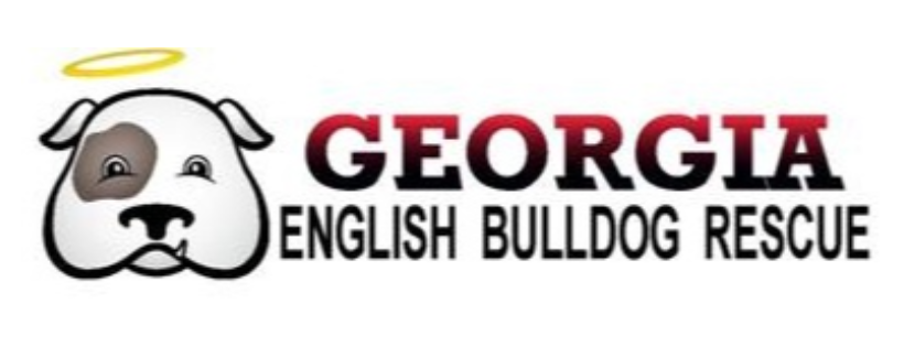 Georgia English Bulldog Rescue