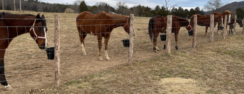 Freedom Valley Rescue