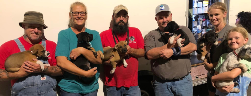 Friends of Marshall Animals