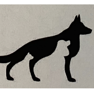 Nikenos Second Chances Logo