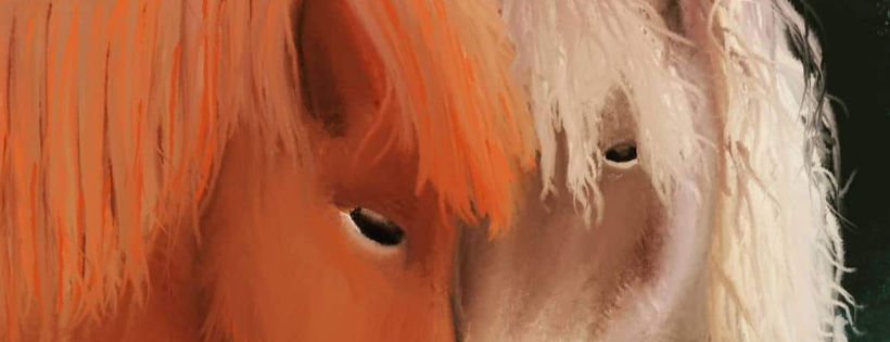 Equine welfare network (Equine Halfway House pony rescue and refuge)