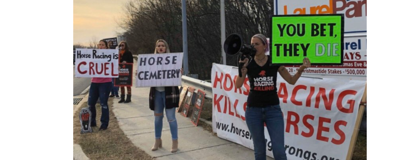 Horseracing Wrongs Inc