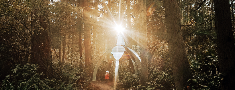 Price Sculpture Forest