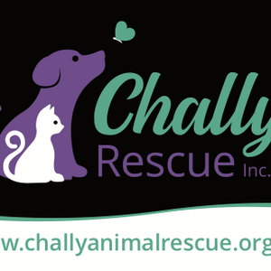 Chally animal rescue Bendigo