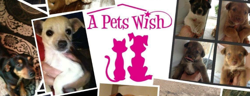 A Pets Wish