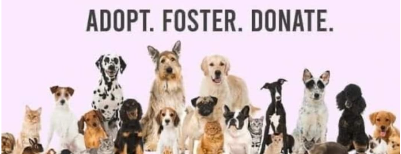 Faith Hope and Love Animal Rescue NC