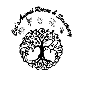 Cat's Animal Rescue and Sanctuary 