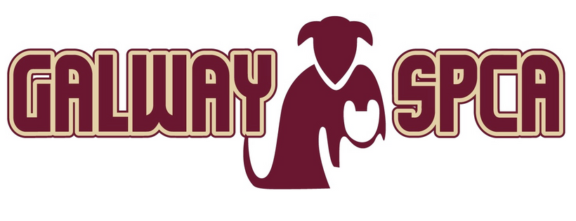 Galway SPCA