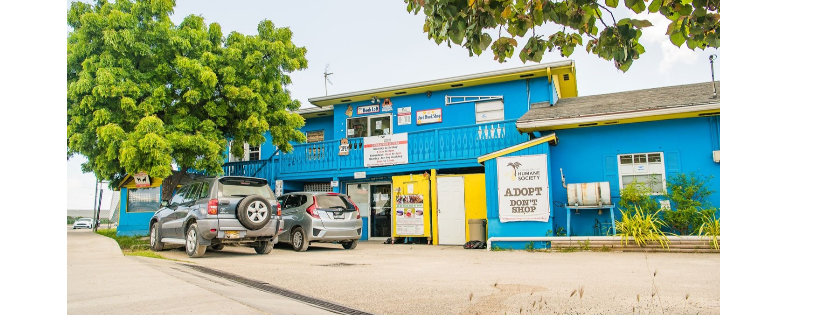 Cayman Islands Humane Society