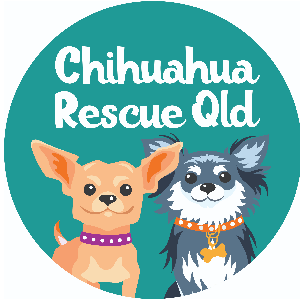 Chihuahua Rescue QLD Logo