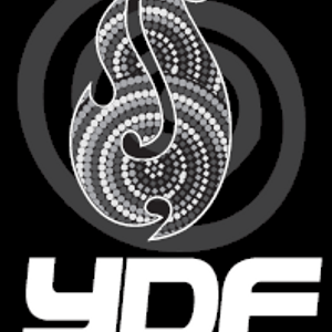 The Youth Development Foundation Logo