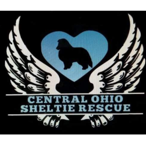 Central Ohio Sheltie Rescue