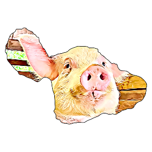 Maui Pig Sanctuary
