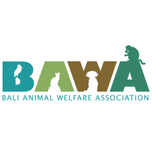 BAWA (Bali Animal Welfare Association)