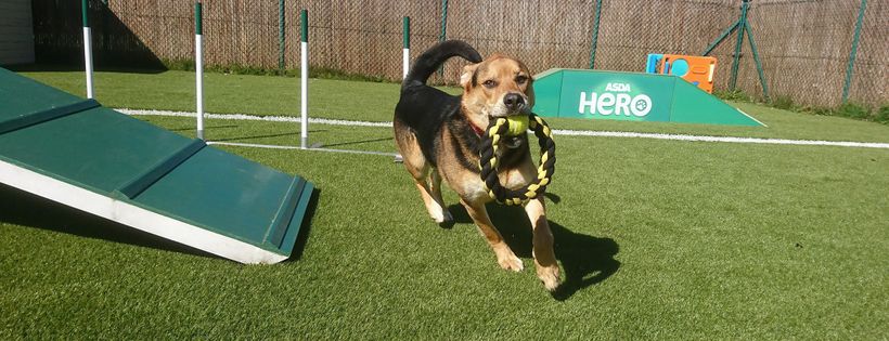 RSPCA Doncaster