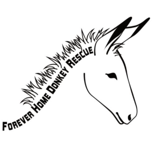 Forever Home Donkey Rescue & Sanctuary Logo