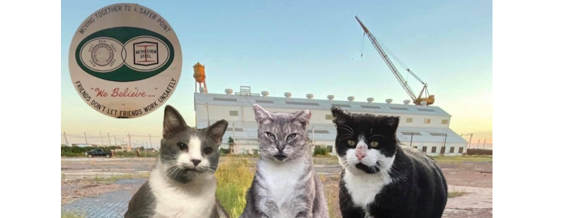 Feral Cats of Bethlehem Steel, Inc.