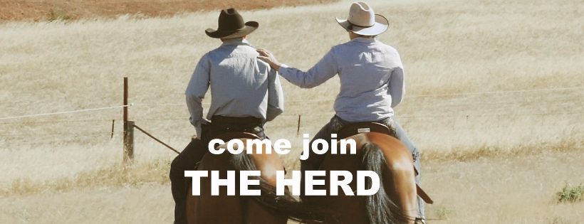 Herd of Hope Limited