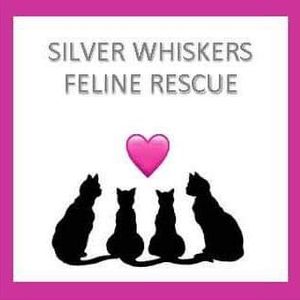 Silver Whiskers Feline Rescue Logo