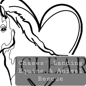 Chase's Landing Equine Animal Rescue