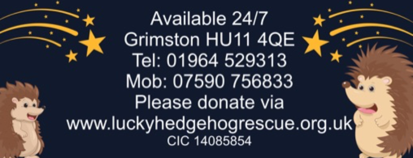 Lucky Hedgehog Rescue C.I.C. 14085854