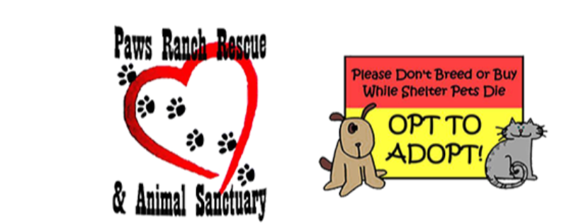Paws Ranch Rescue & Animal Sanctuary