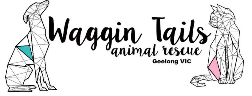 Waggin Tails Animal Rescue