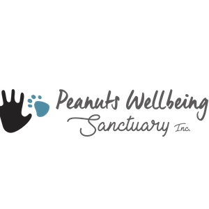 Peanuts Wellbeing Sanctuary Logo