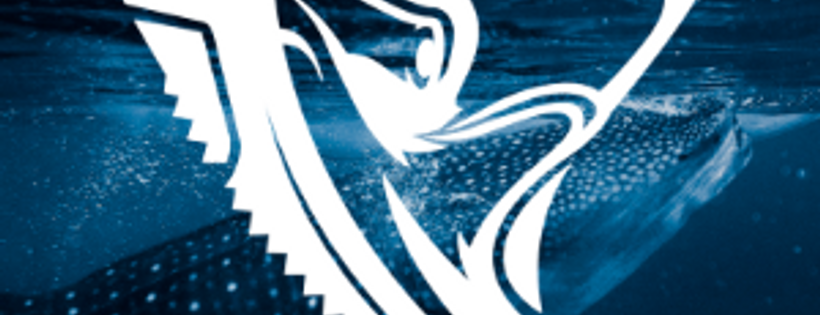 Shark Conservation Australia