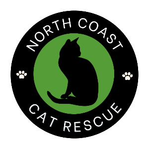 North Coast Cat Rescue