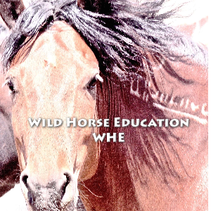 wild horse education Logo
