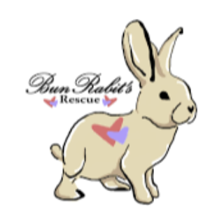 BunRabit’s Rescue