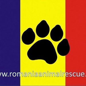 Romania Animal Rescue inc dba Animal Spay Neuter International Logo