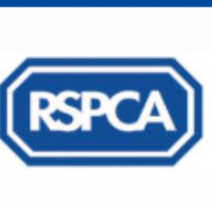 RSPCA Suffolk Central Branch