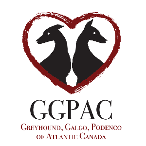 Greyhound, Galgo, Podenco of Atlantic Canada Logo
