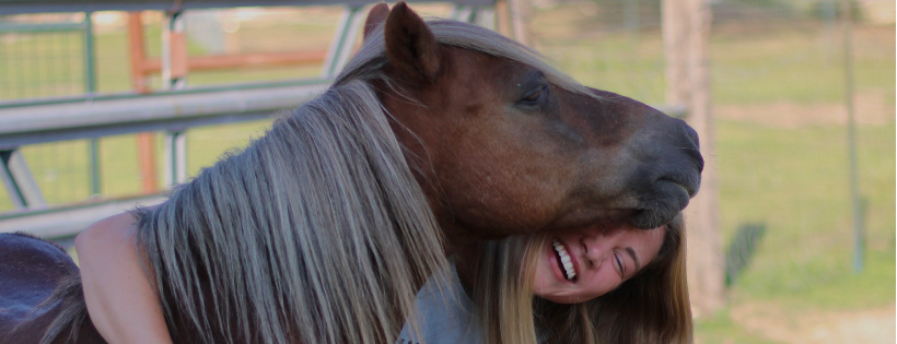 Sweet Mercies Rescue Ranch