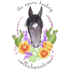 The Equine Healing Collaborative