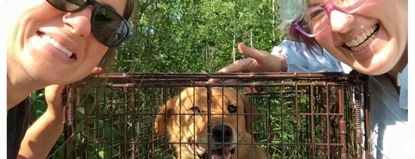 Zoe's Animal Rescue Society