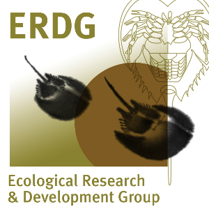Ecological Research and Development Group Logo
