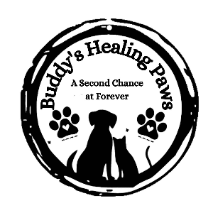 Buddy's Healing Paws