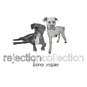 Rejection Collection Boxer Rescue