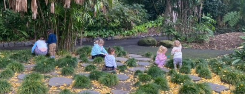 Wildflower Kids