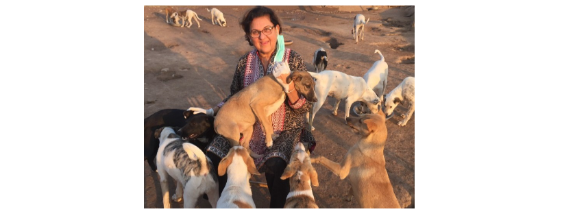 Lucky Animal Protection Shelter